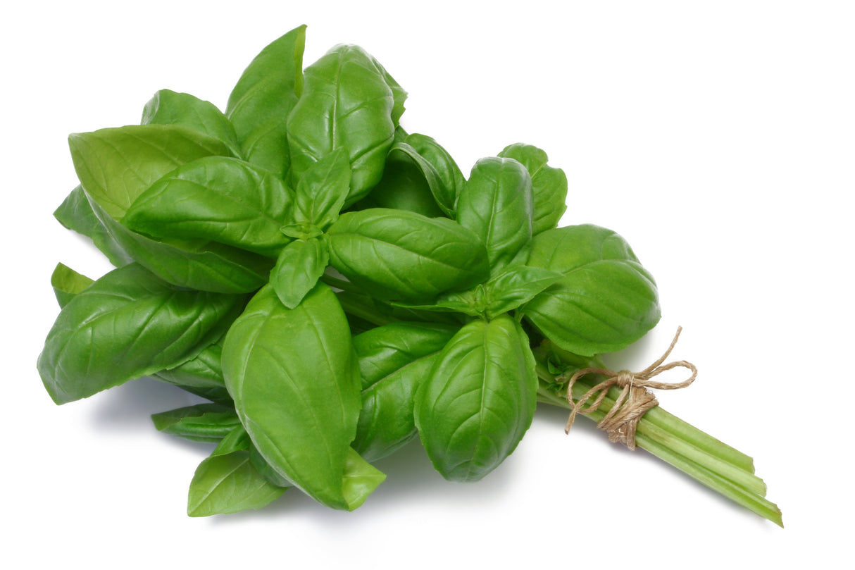 Basil (Bunch)