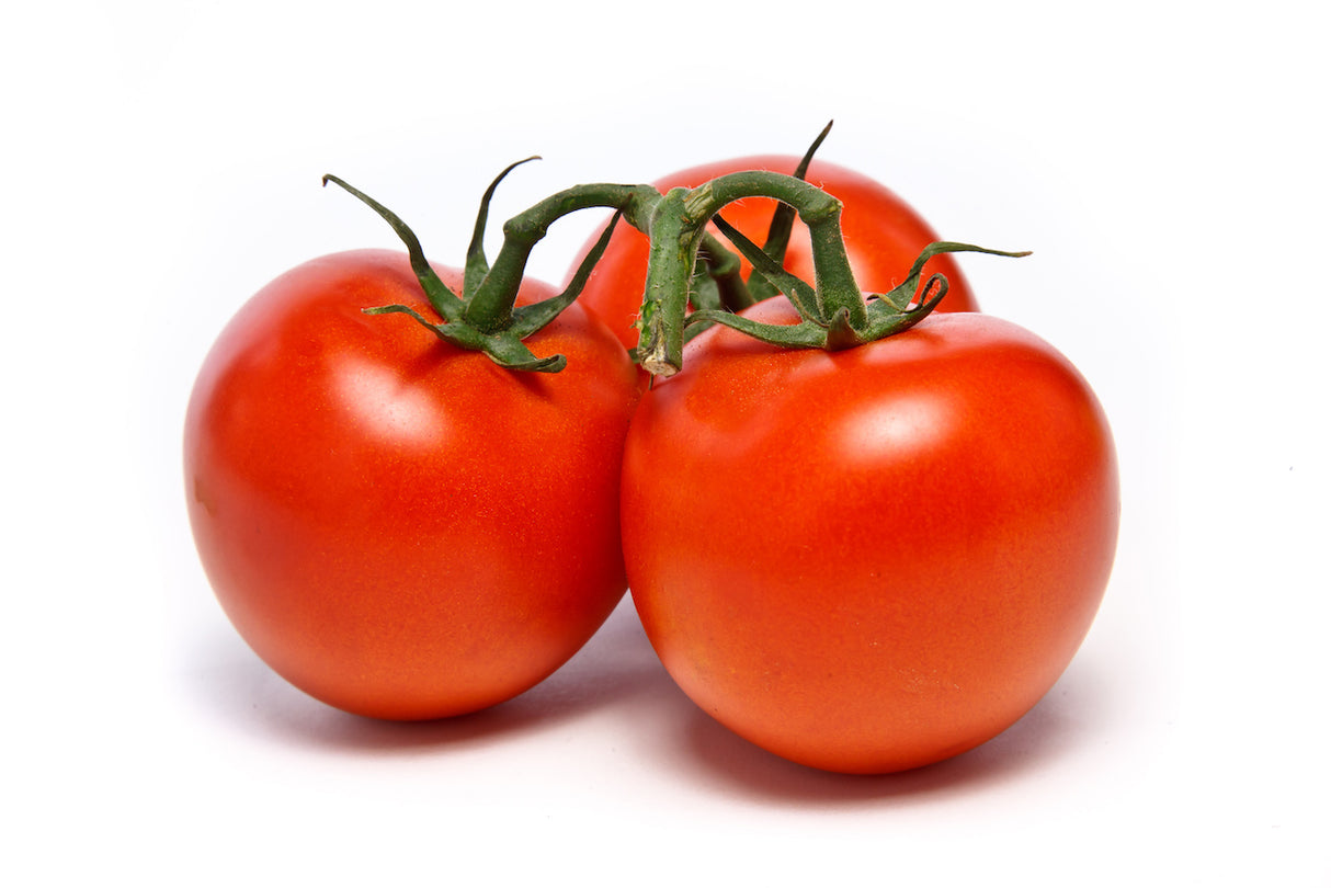 Truss Tomatoes (Each)