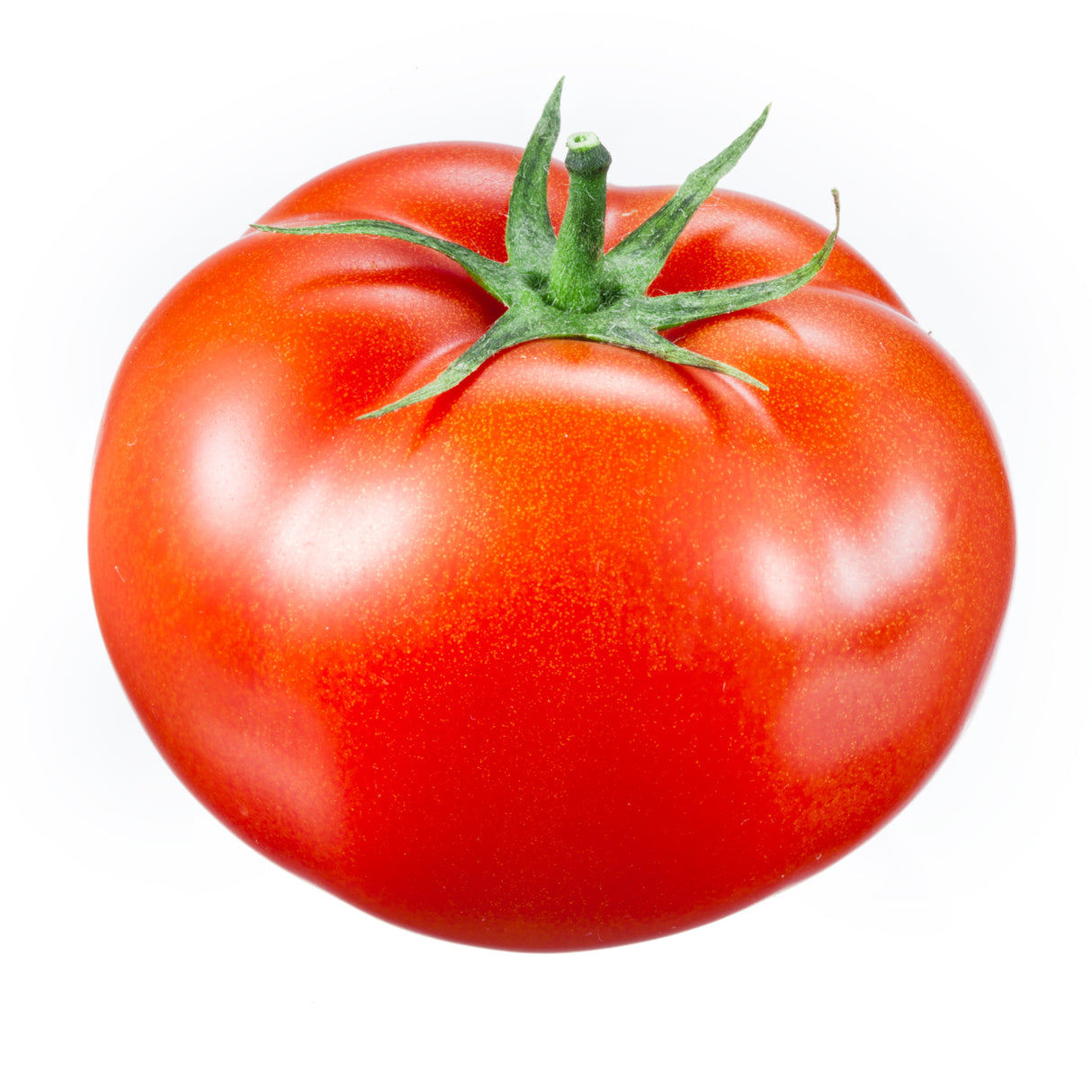 Tomato (Each)