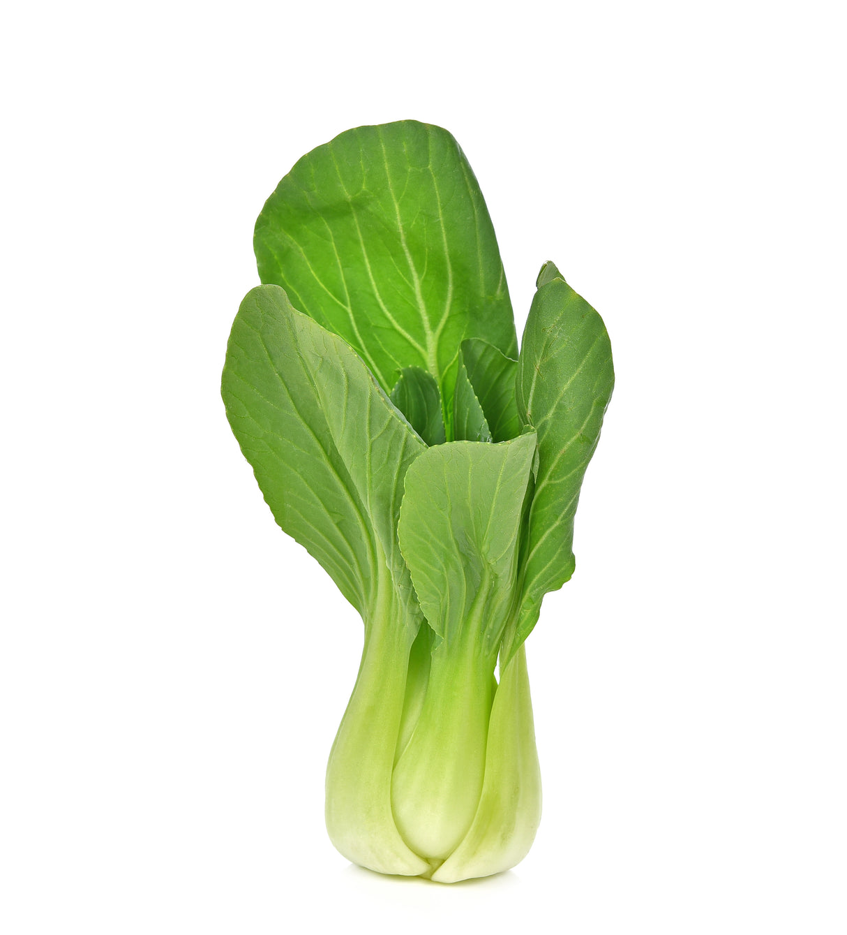 Bok Choy (Bunch)