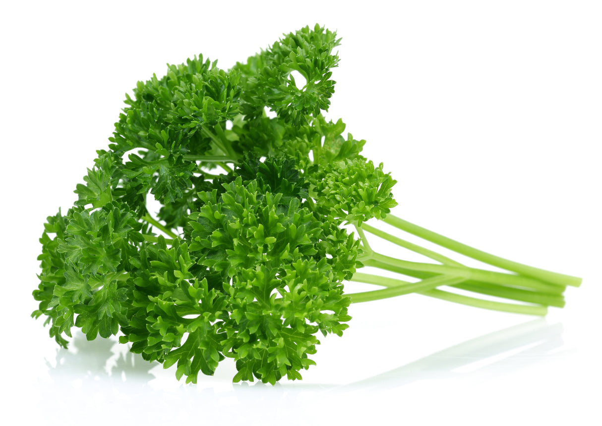 Curly Parsley (Bunch)